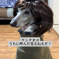 女性らしい雰囲気に♡