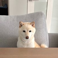座りたい