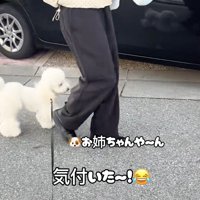 お姉ちゃんにくっついて歩きます