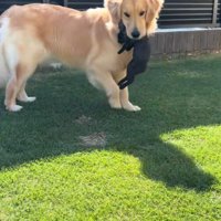 母親みたいな姿にホッコリ