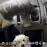 みんなで車中泊にチャレンジ！