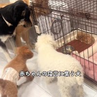 全員集合する光景にホッコリ