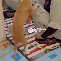 1年前、とっても仲良しに