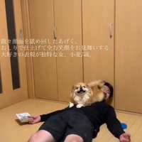 「これで完璧！」