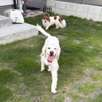 ニコニコ