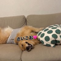 嬉しそうなにこちゃん