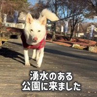 公園にやってきました！！