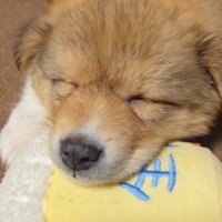 天使の寝顔♡