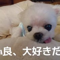 かけがえのない宝物