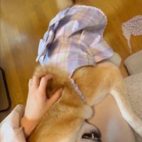 膝枕