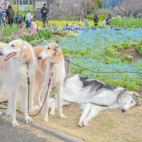 末っ子がとんでもない姿に！