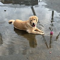 水たまり