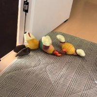 寝込んでいたら…
