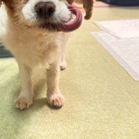 そこに写されていたのは…