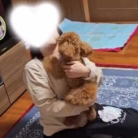 腕を広げた飼い主に飛びつく犬