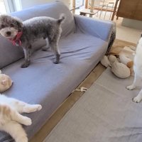 きゅうちゃんもじゅんちゃんの隣へ