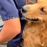 「ずっと会いたかった」