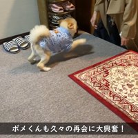 嬉しくて大はしゃぎ♪