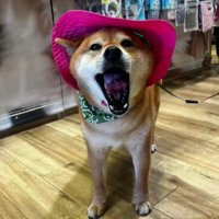 ビビッドカラーもお手の物♪