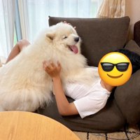 おかえり