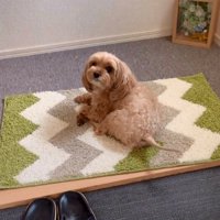 塩対応のニコちゃん