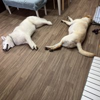 一緒