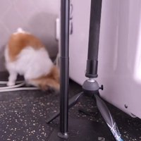 グルグルしてたら入り込んじゃった？
