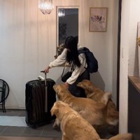 喜びが一気に爆発！！