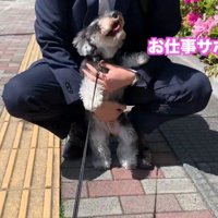 笑顔でじゃれる姿が可愛い♡