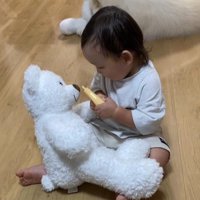 遊び方も対照的