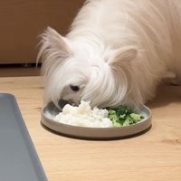食事中