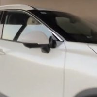 窓からこちらを見る犬