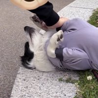 「またあそぼっ」