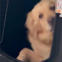 モコちゃんの寝起きの瞬間7