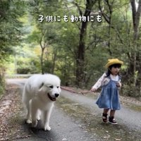 ほっこりしちゃいます