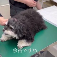健気な姿にホッコリ♡