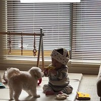 おもちゃで遊ぶワンコと赤ちゃん3