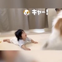 逃！！