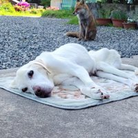 友情は消えない…