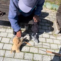こちらまで笑顔になる♡