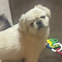 ドヤ顔