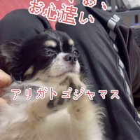 お礼を言うちーちゃん