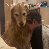 「怒らないであげて！！」