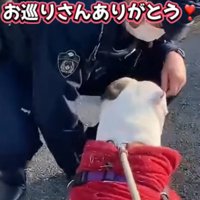 おやつをあげる警察官