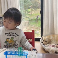 心配そうに見ているゴンちゃん