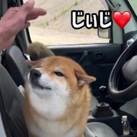 ヒコーキ耳で大歓喜♡