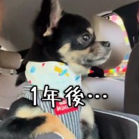 約1年後…