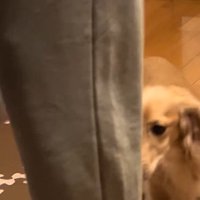 ケロッとして後をついてきます♪