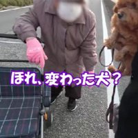 「変わった犬ね」