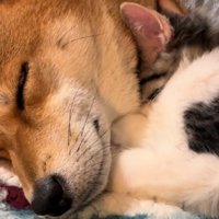 「ここが一番落ち着く♡」